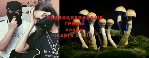 прущие крисы Баксан
