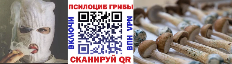 Псилоцибиновые грибы Magic Shrooms  Лукоянов 